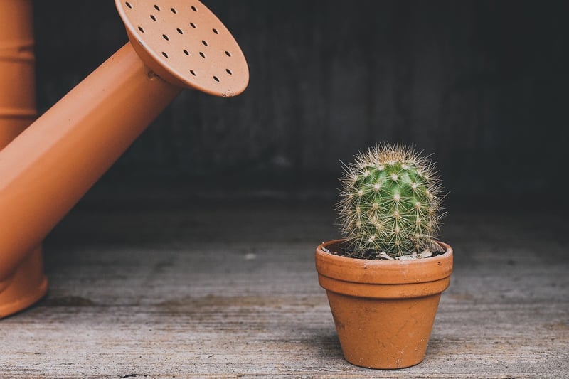 Watering Methods